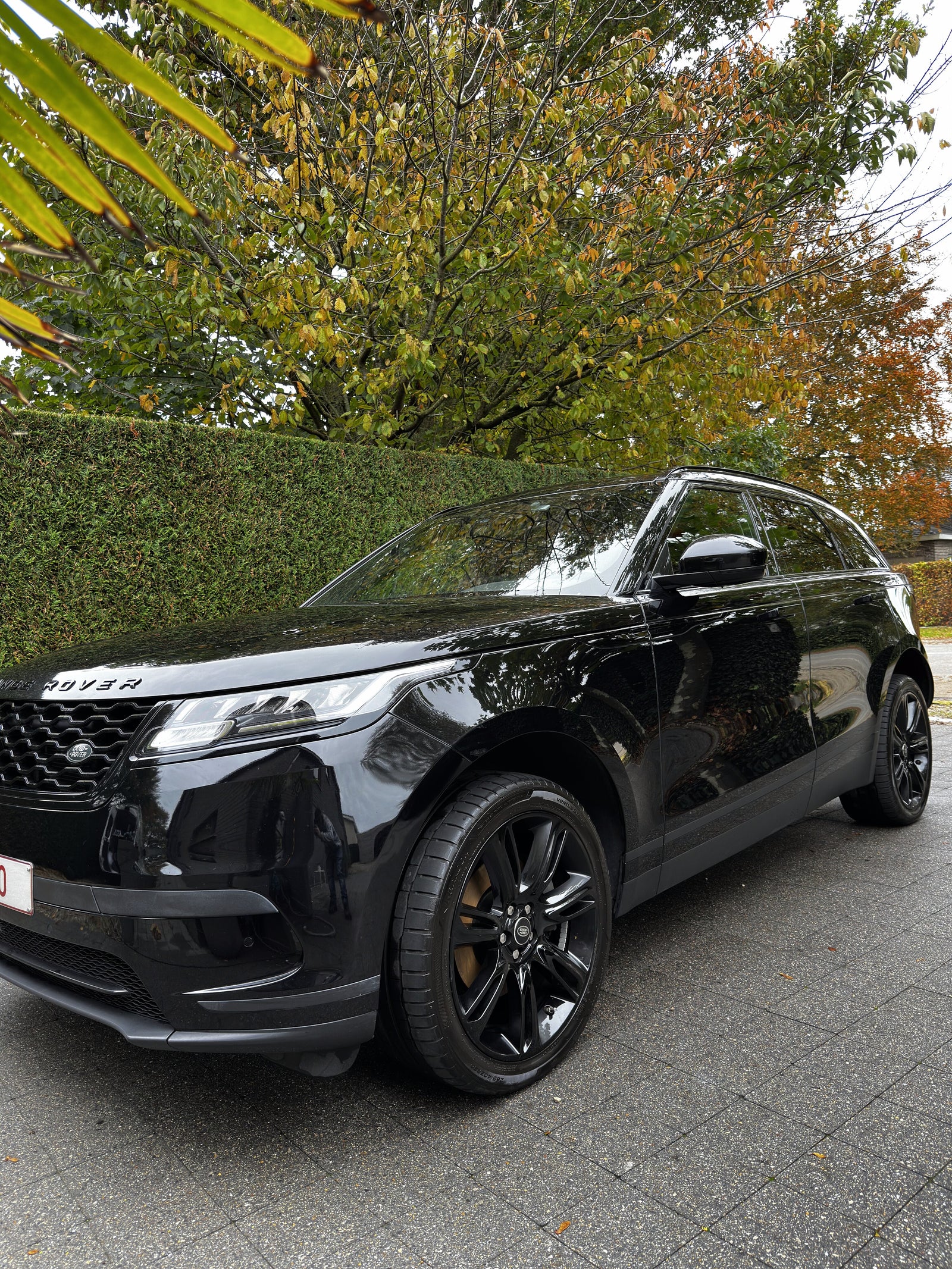 Range rover velar